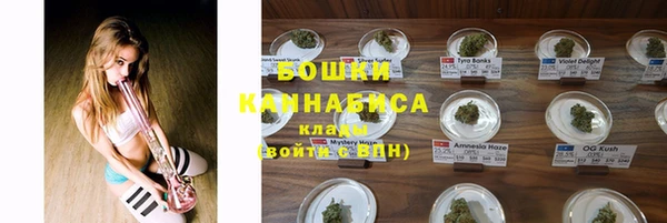 дмт Аркадак