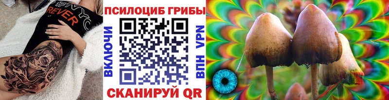 Псилоцибиновые грибы GOLDEN TEACHER  Набережные Челны 