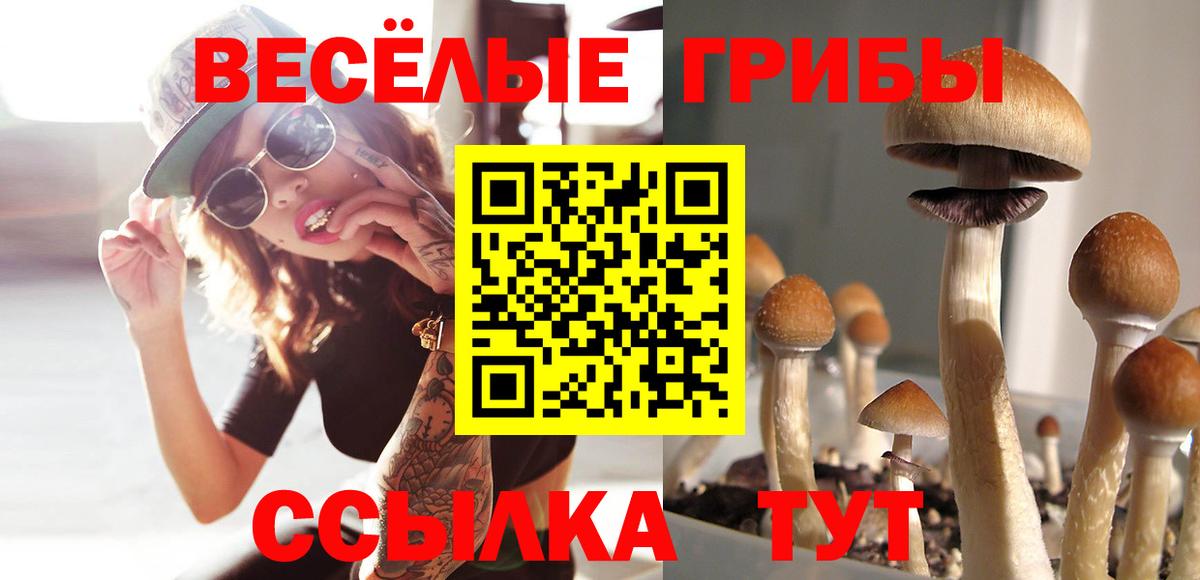 Набережные Челны  Псилоцибиновые грибы Psilocybine cubensis  Вход с VPN 